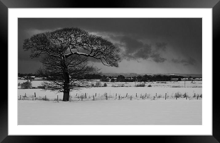 Tree in the snow Framed Mounted Print by Keith Thorburn EFIAP/b