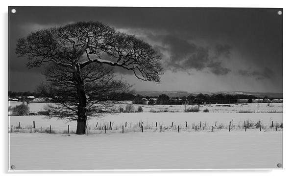 Tree in the snow Acrylic by Keith Thorburn EFIAP/b