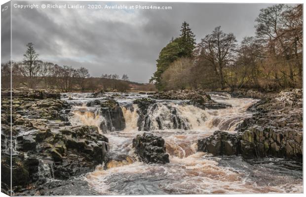 Salmon Leap Falls, River Tees, in Wintry Sun Canvas Print by Richard Laidler