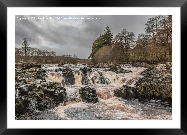Salmon Leap Falls, River Tees, in Wintry Sun Framed Mounted Print by Richard Laidler