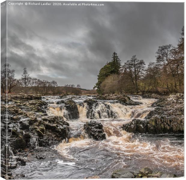 Salmon Leap Falls, Teesdale, in Wintry Sun Canvas Print by Richard Laidler