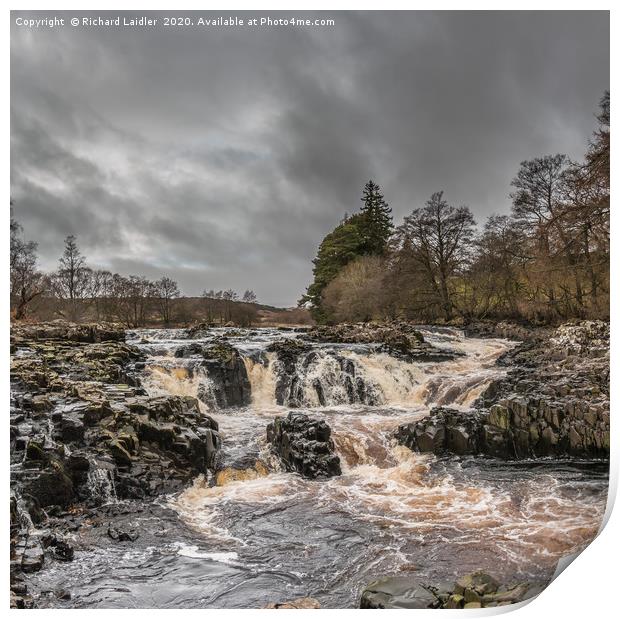 Salmon Leap Falls, Teesdale, in Wintry Sun Print by Richard Laidler