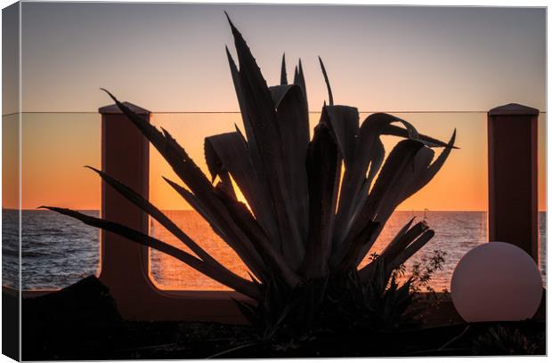 Cactus  silhouette at Sunrise Canvas Print by Wendy Williams CPAGB