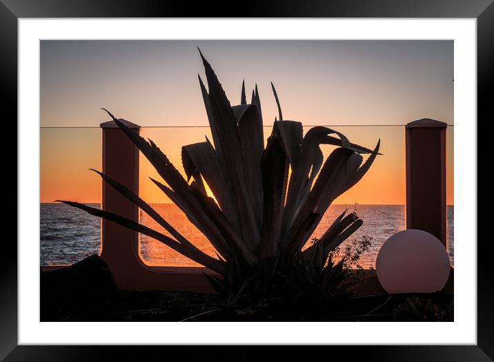 Cactus  silhouette at Sunrise Framed Mounted Print by Wendy Williams CPAGB