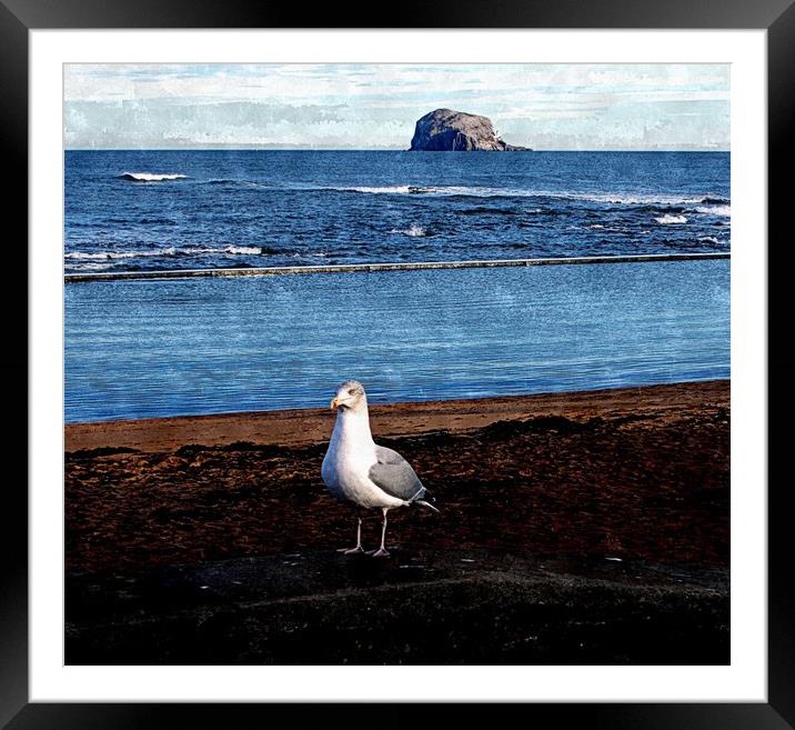 north berwick view Framed Mounted Print by dale rys (LP)