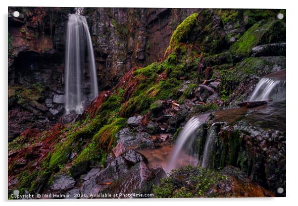 Melincourt Waterfall Acrylic by Neil Holman