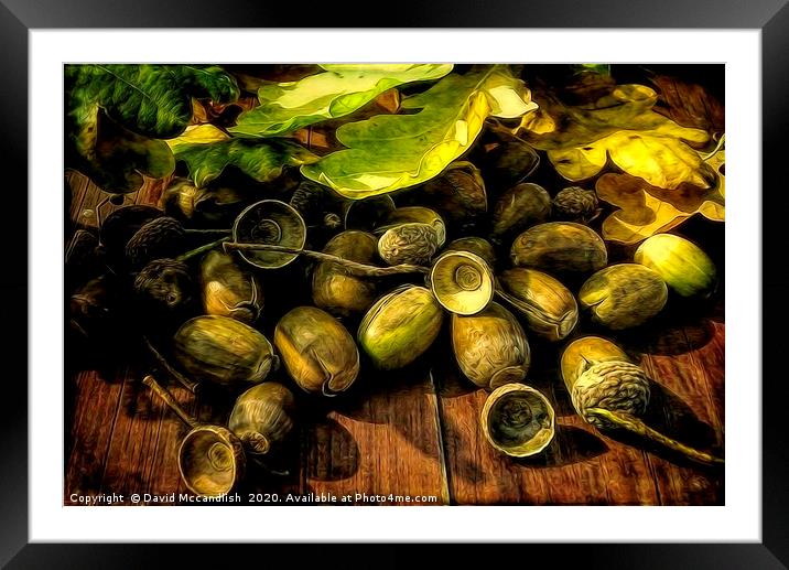 A Collection of Acorns Framed Mounted Print by David Mccandlish