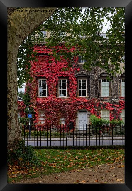 Queens Square, Bath red Ivy Framed Print by Duncan Savidge