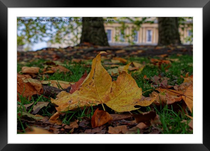 Autumn leaves at the Circus Bath Framed Mounted Print by Duncan Savidge