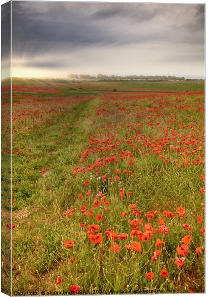 Vast red poppy fields at dawn Canvas Print by Simon Bratt LRPS
