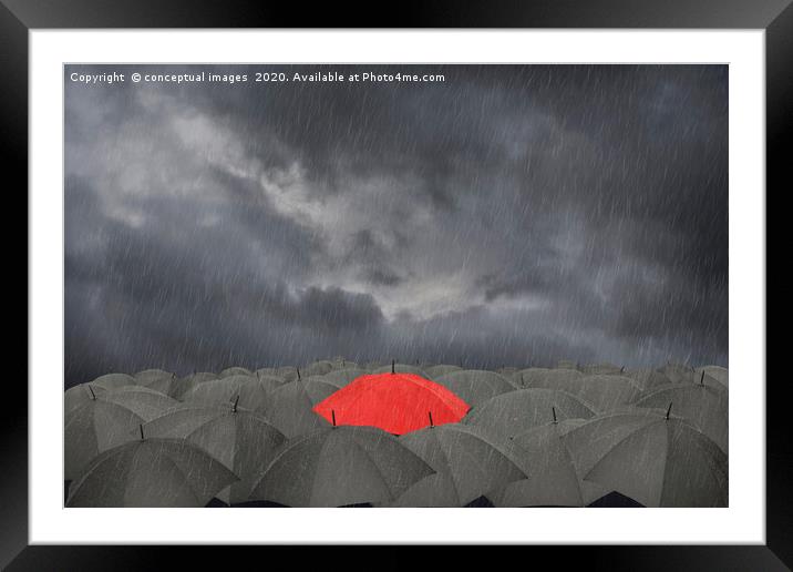 A red Umbrella surrounded by black umbrellas Framed Mounted Print by conceptual images