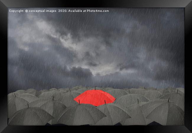 A red Umbrella surrounded by black umbrellas Framed Print by conceptual images