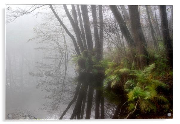 Misty Ferns Acrylic by Ann Garrett