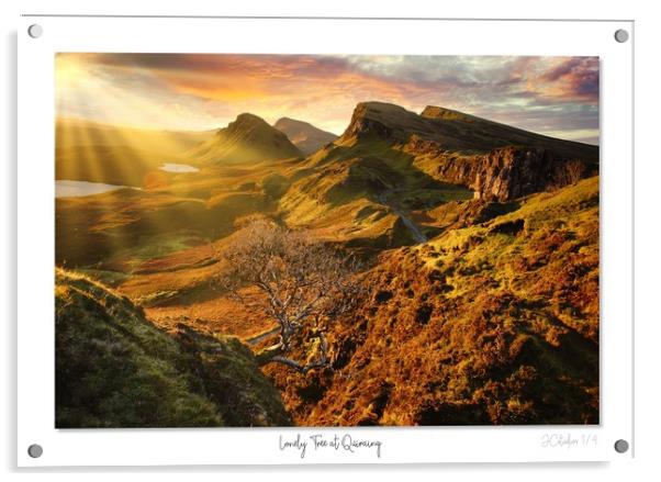 Lonely Tree at Quiraing  Acrylic by JC studios LRPS ARPS