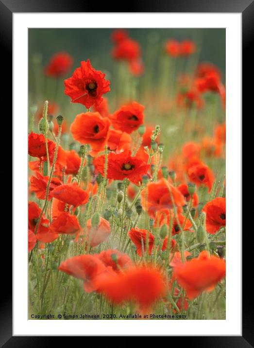 poppies Framed Mounted Print by Simon Johnson