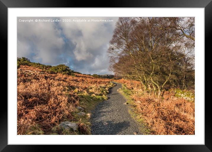 Winter Sun on the Pennine Way near High Force Framed Mounted Print by Richard Laidler