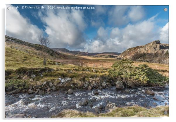 Blea Beck towards Cronkley Fell, Teesdale Acrylic by Richard Laidler