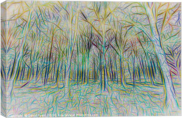 Forest Abstract Art Canvas Print by David Pyatt