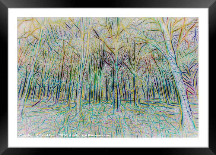 Forest Abstract Art Framed Mounted Print by David Pyatt