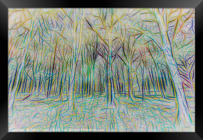 Forest Abstract Art Framed Print by David Pyatt