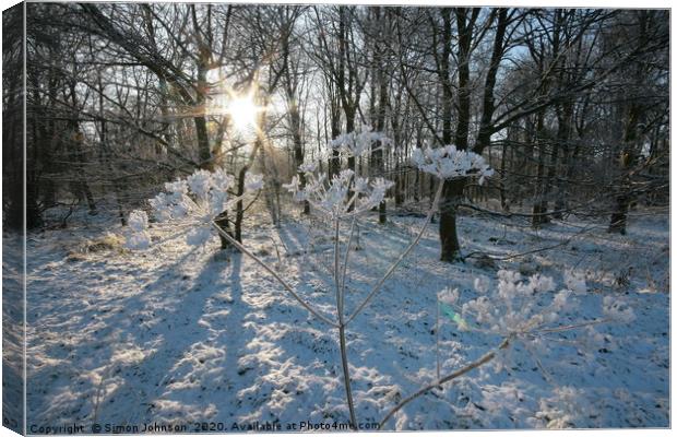 Frosted Grass Canvas Print by Simon Johnson