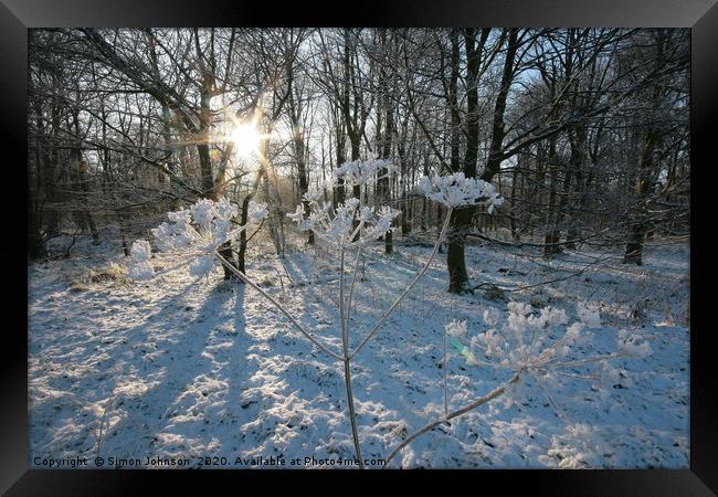 Frosted Grass Framed Print by Simon Johnson