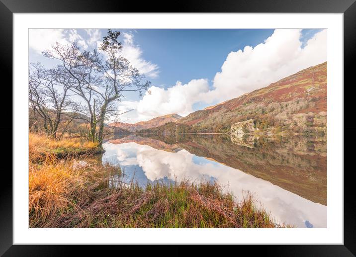 Tranquil morning Framed Mounted Print by Jonathon barnett