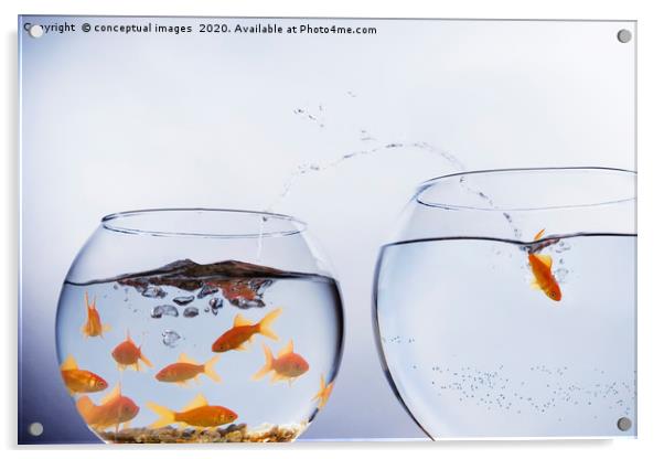 A Goldfish jumping out of a small crowded bowl  Acrylic by conceptual images