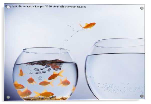 A Goldfish jumping out of a small crowded bowl  Acrylic by conceptual images