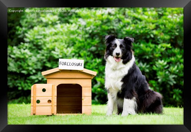 Sheepdog standing beside dog house  Framed Print by conceptual images