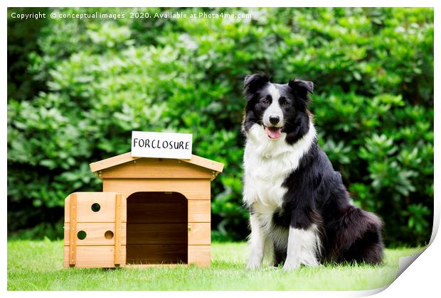 Sheepdog standing beside dog house  Print by conceptual images