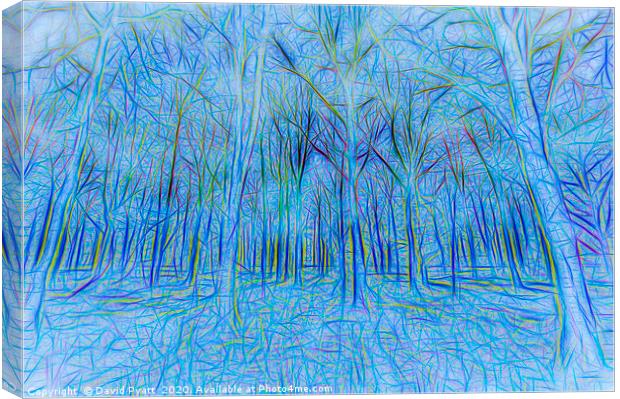 Blue Forest Abstract Art Canvas Print by David Pyatt