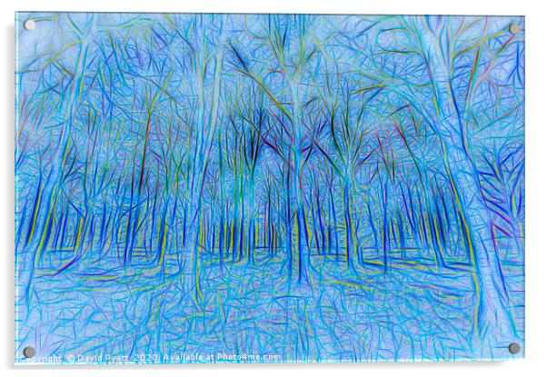 Blue Forest Abstract Art Acrylic by David Pyatt