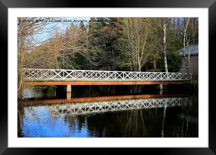 Bridge Across River  Framed Mounted Print by Taina Sohlman