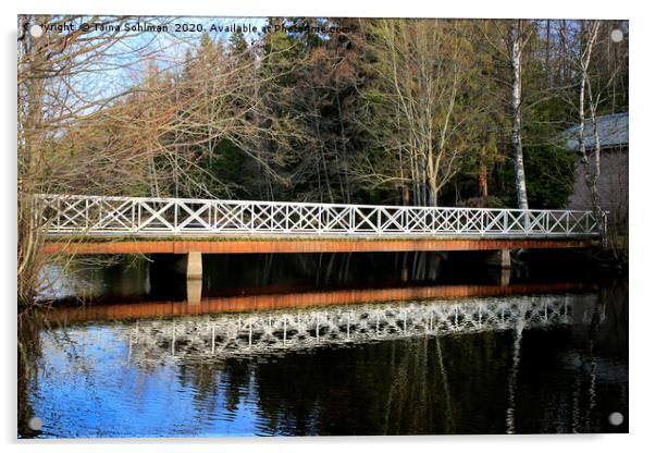 Bridge Across River  Acrylic by Taina Sohlman