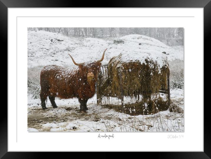A winter feast Framed Mounted Print by JC studios LRPS ARPS