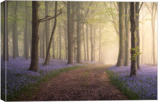 Spring in your Step Canvas Print by Chris Frost
