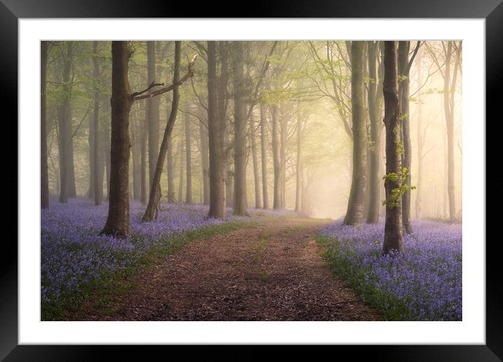 Spring in your Step Framed Mounted Print by Chris Frost