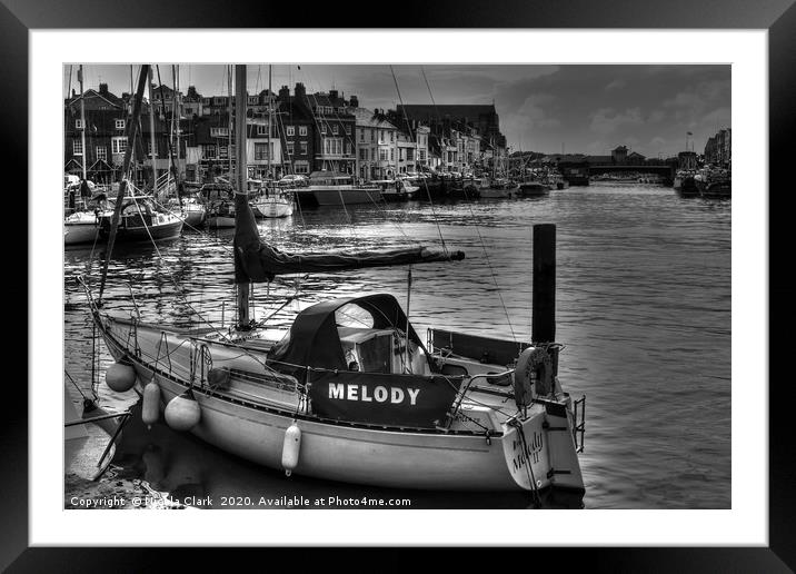 Melody In Monochrome Framed Mounted Print by Nicola Clark