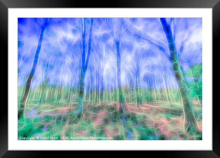 Mystical Forest Art Framed Mounted Print by David Pyatt