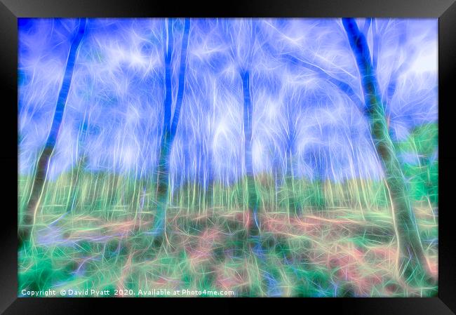 Mystical Forest Art Framed Print by David Pyatt