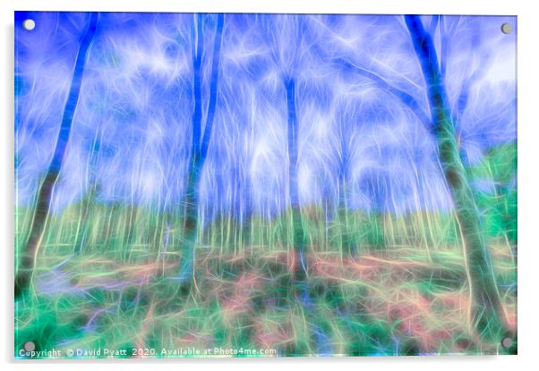 Mystical Forest Art Acrylic by David Pyatt