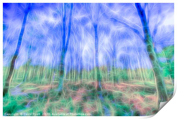 Mystical Forest Art Print by David Pyatt