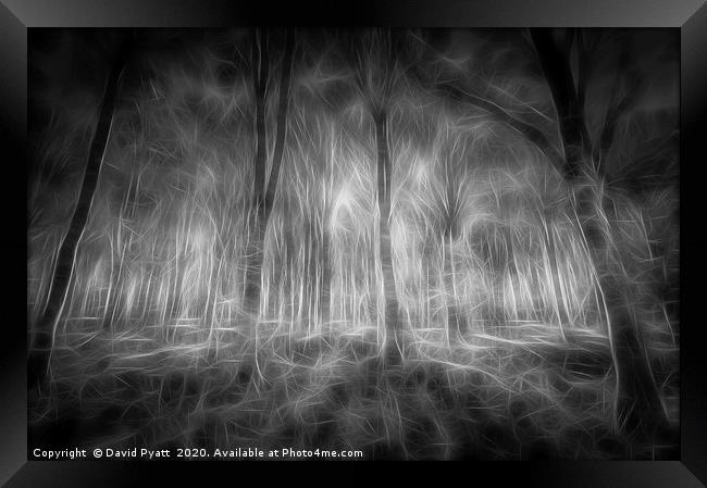 The Haunted Forest  Framed Print by David Pyatt