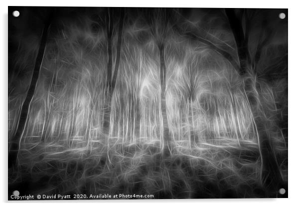 The Haunted Forest  Acrylic by David Pyatt