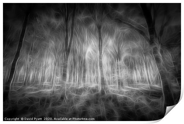 The Haunted Forest  Print by David Pyatt