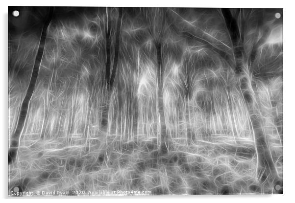 Monochrome Forest Art Acrylic by David Pyatt