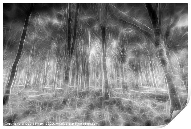 Monochrome Forest Art Print by David Pyatt