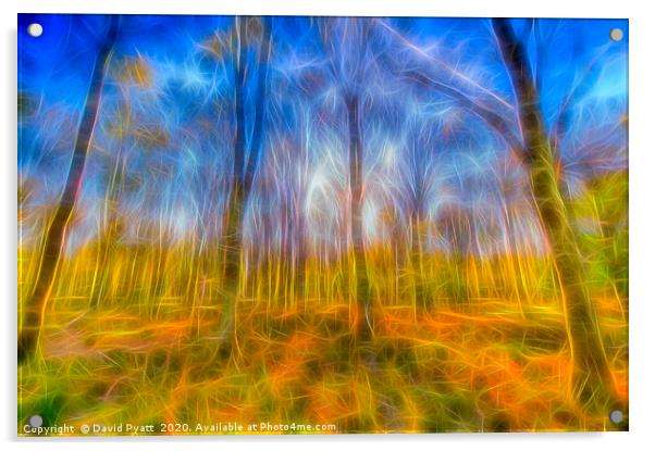 Electric Forest Acrylic by David Pyatt