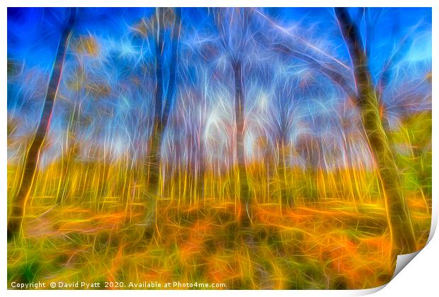 Electric Forest Print by David Pyatt